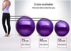 65cm Gym ball with Air pump