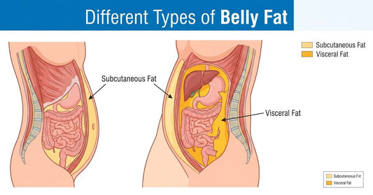 Types of Belly Fat: What You Have, Why It's There, and How to Lose It