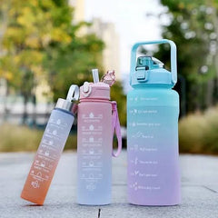 Motivational Frosted Water Bottle (3in1)
